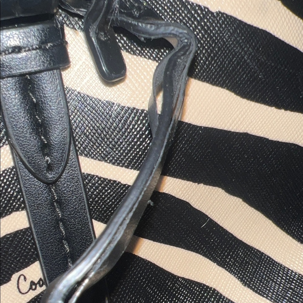 Coach Zebra Print Tote - Black and Tan - Picture 4 of 11